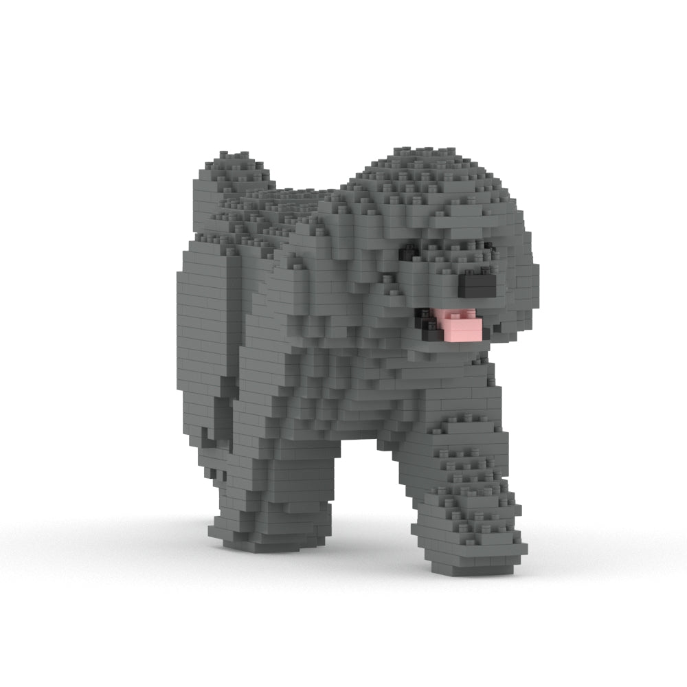 Toy Poodle 02-M06