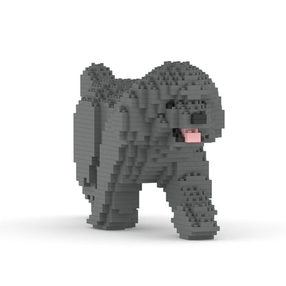 Toy Poodle 02-M06