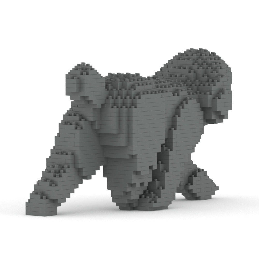 Toy Poodle 02-M06