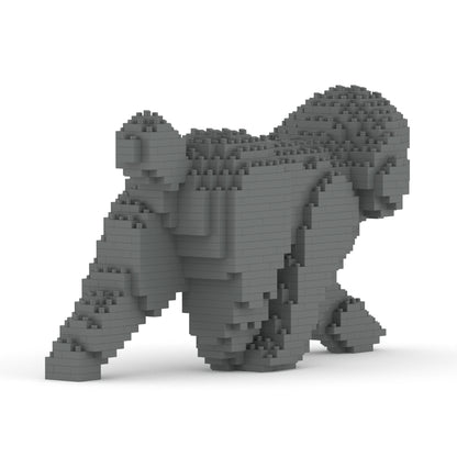 Toy Poodle 02-M06