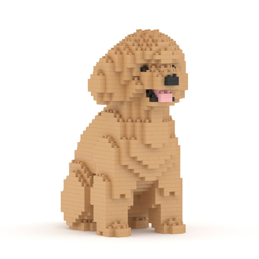 Toy Poodle 03-M03