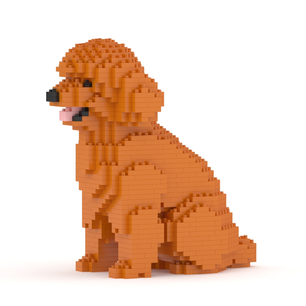 Toy Poodle 03-M04