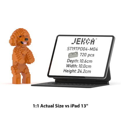 Toy Poodle 04-M04