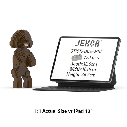 Toy Poodle 04-M05