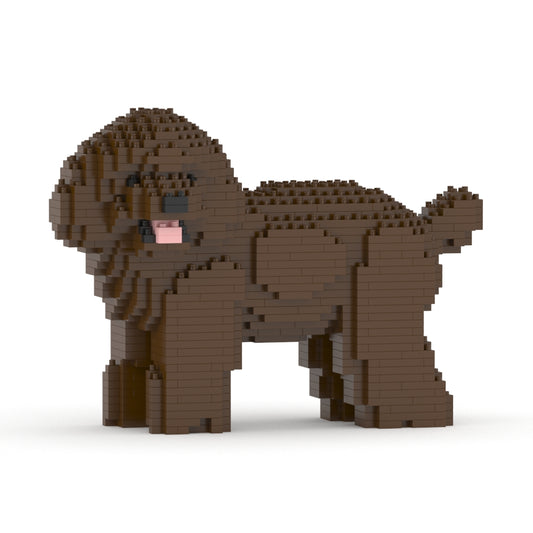 Toy Poodle 05-M05