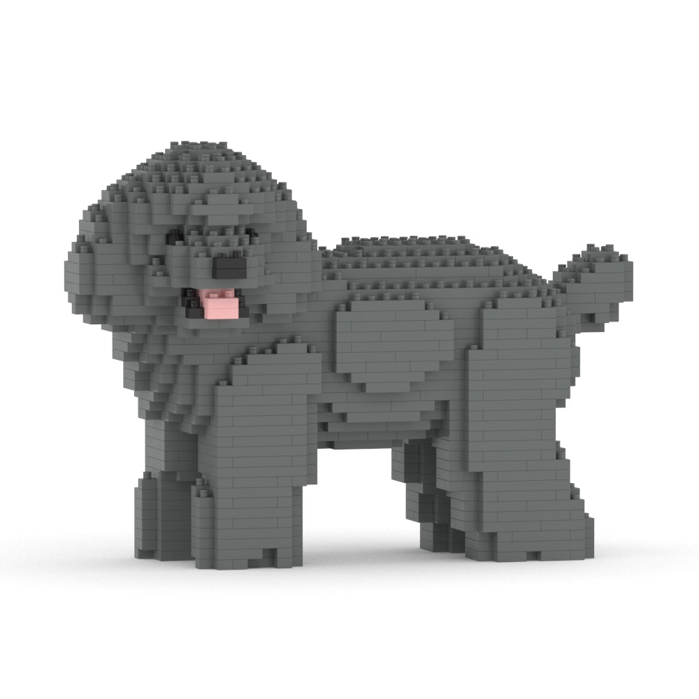 Toy Poodle 05-M06