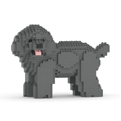Toy Poodle 05-M06