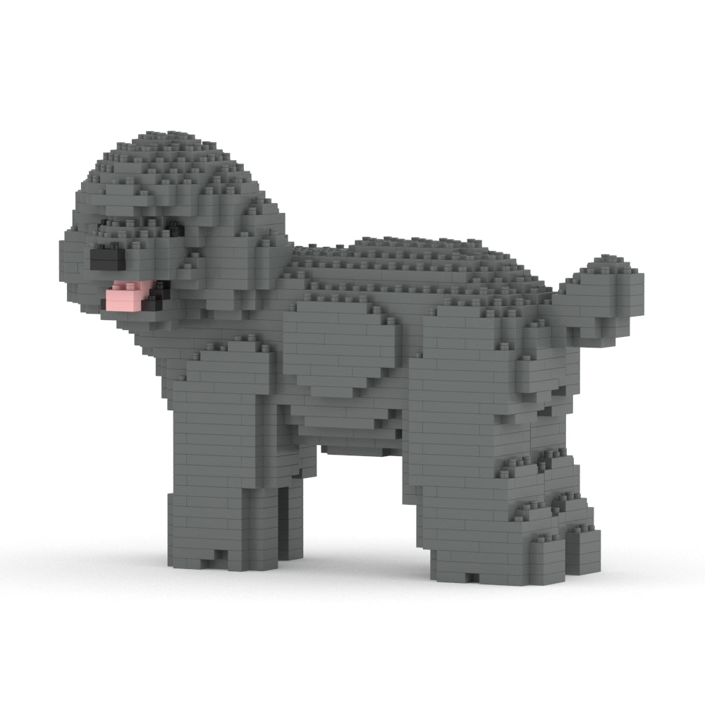 Toy Poodle 05-M06