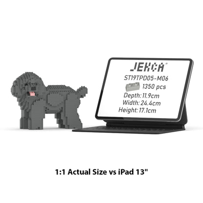 Toy Poodle 05-M06