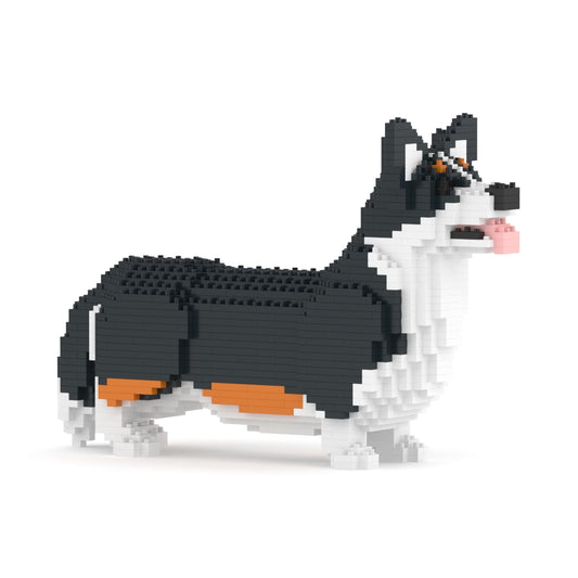 Welsh Corgi 02-M03