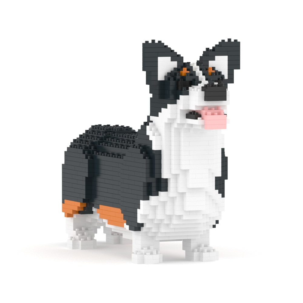 Welsh Corgi 02-M03