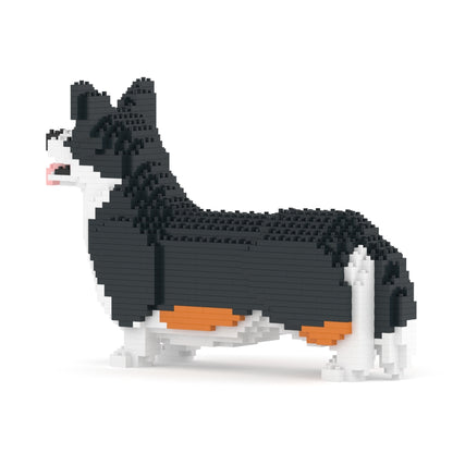 Welsh Corgi 02-M03