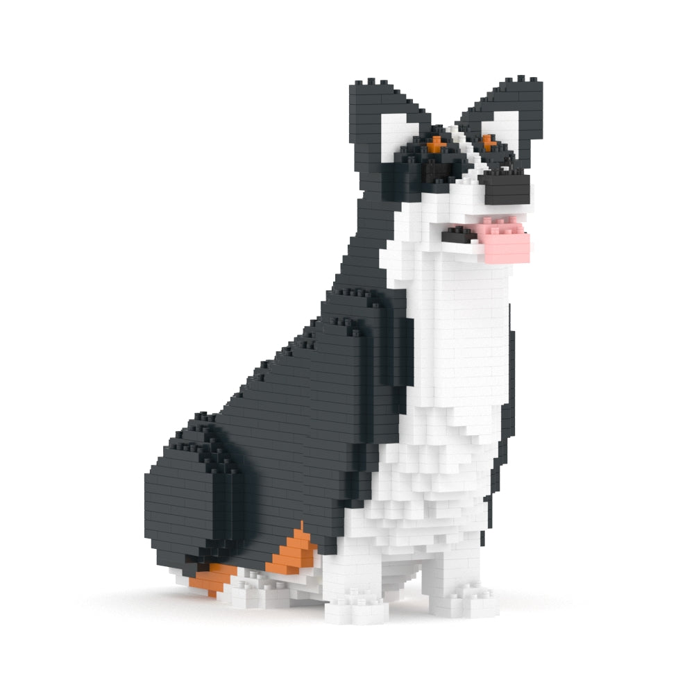 Welsh Corgi 03-M03