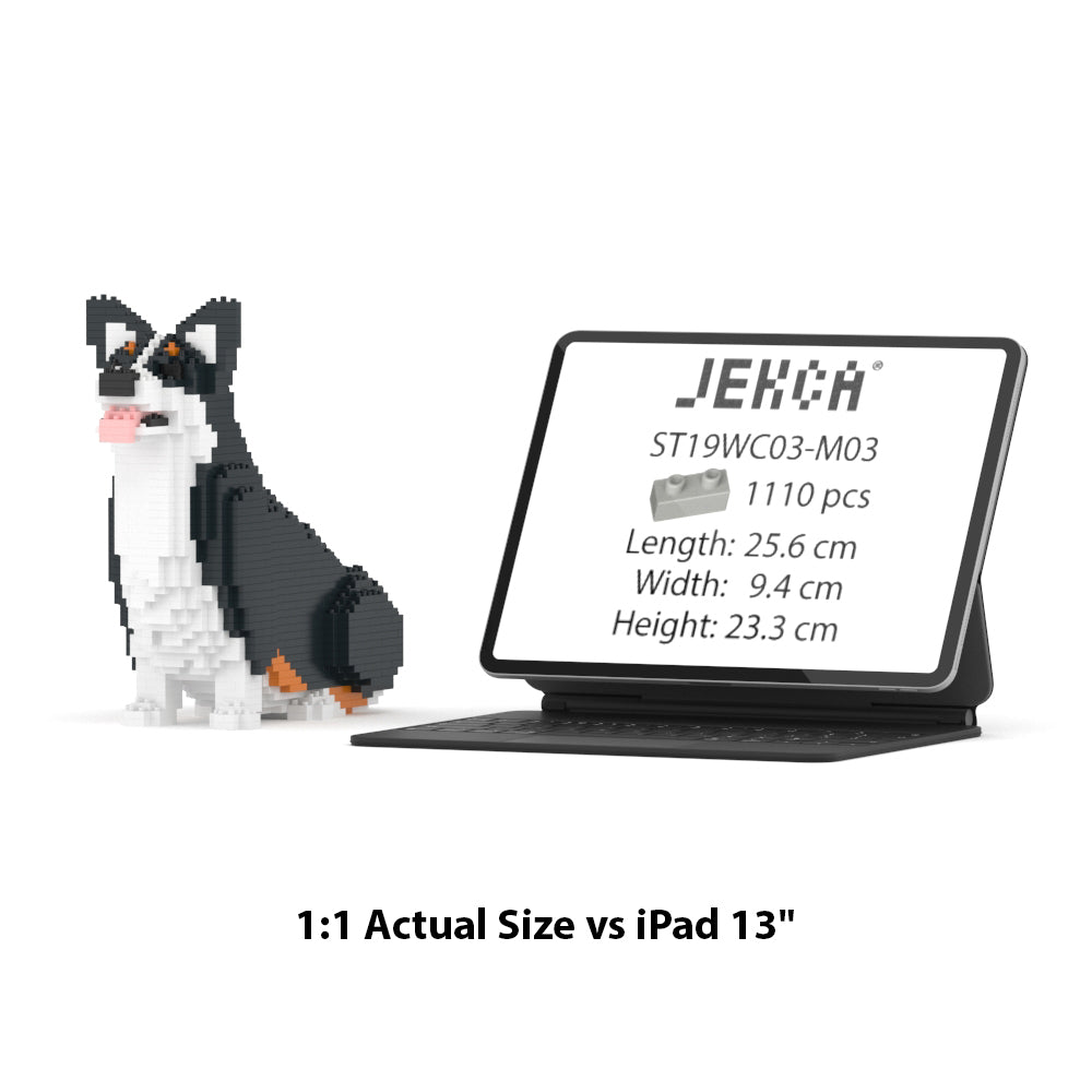 Welsh Corgi 03-M03