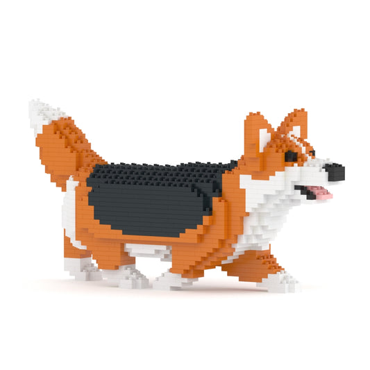Welsh Corgi 04-M02