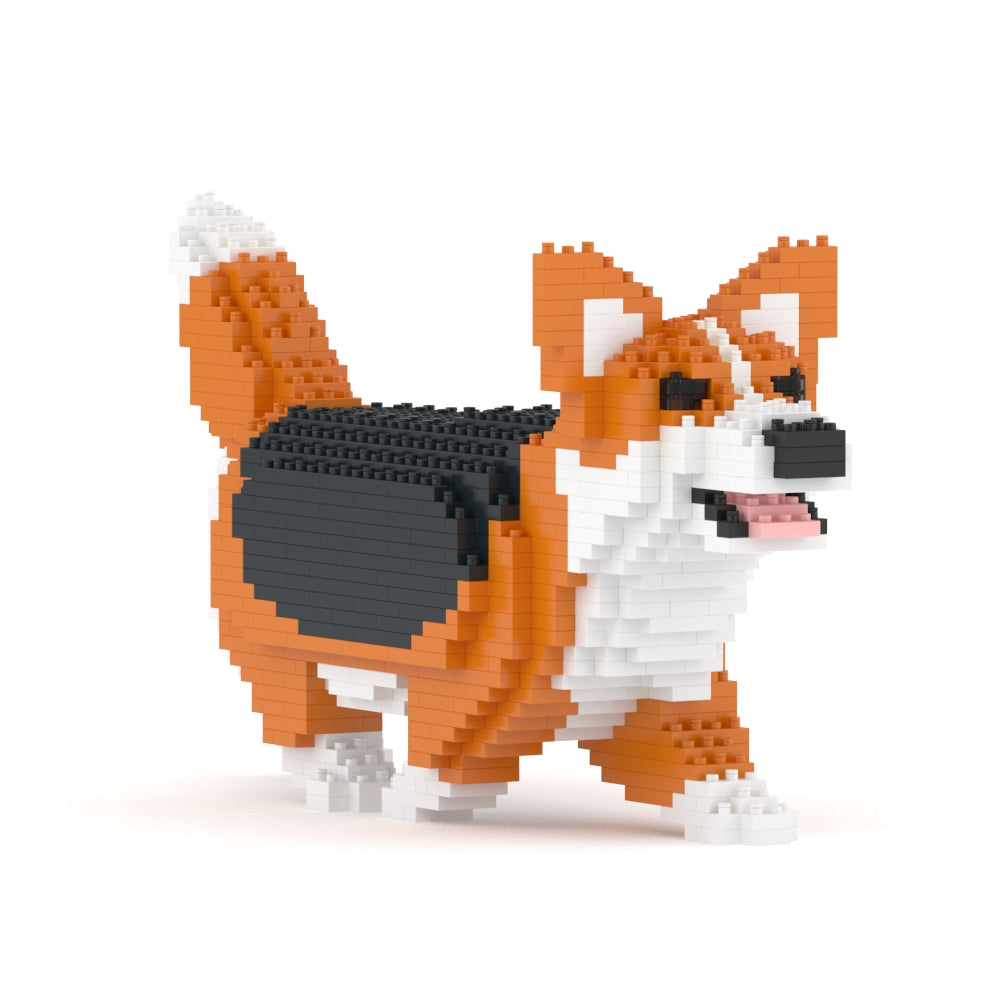 Welsh Corgi 04-M02