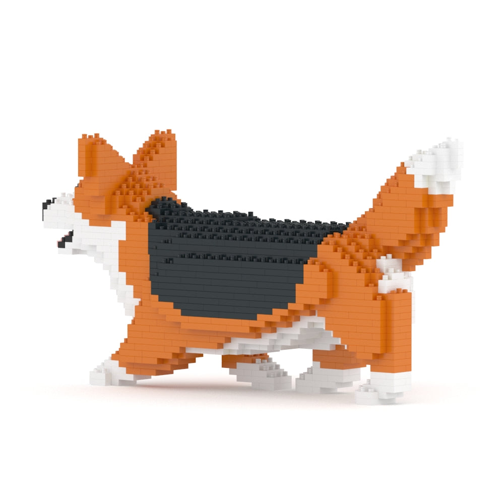 Welsh Corgi 04-M02