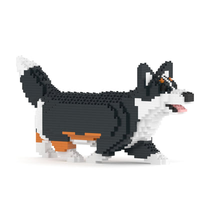 Welsh Corgi 04-M03