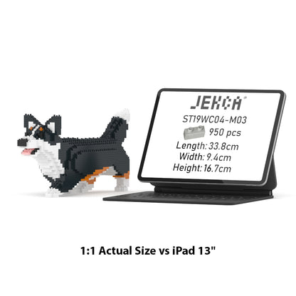 Welsh Corgi 04-M03