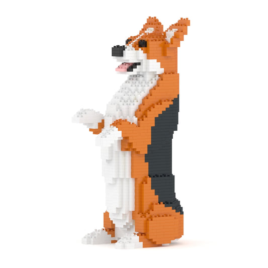 Welsh Corgi 05-M02