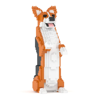 Welsh Corgi 05-M02