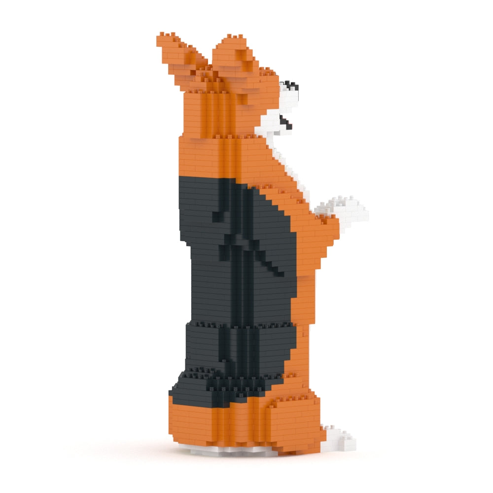 Welsh Corgi 05-M02