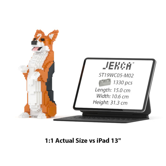 Welsh Corgi 05-M02