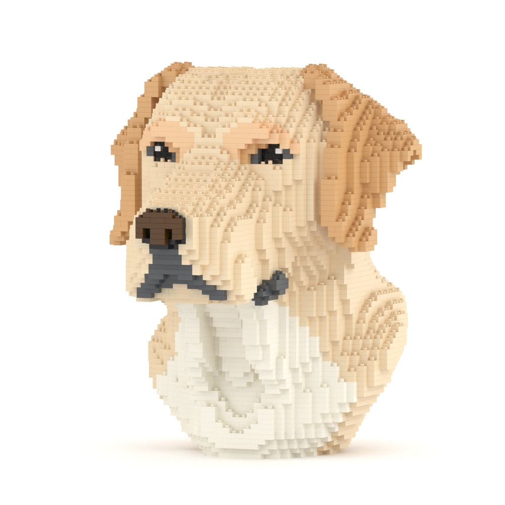 Labrador Bust 01