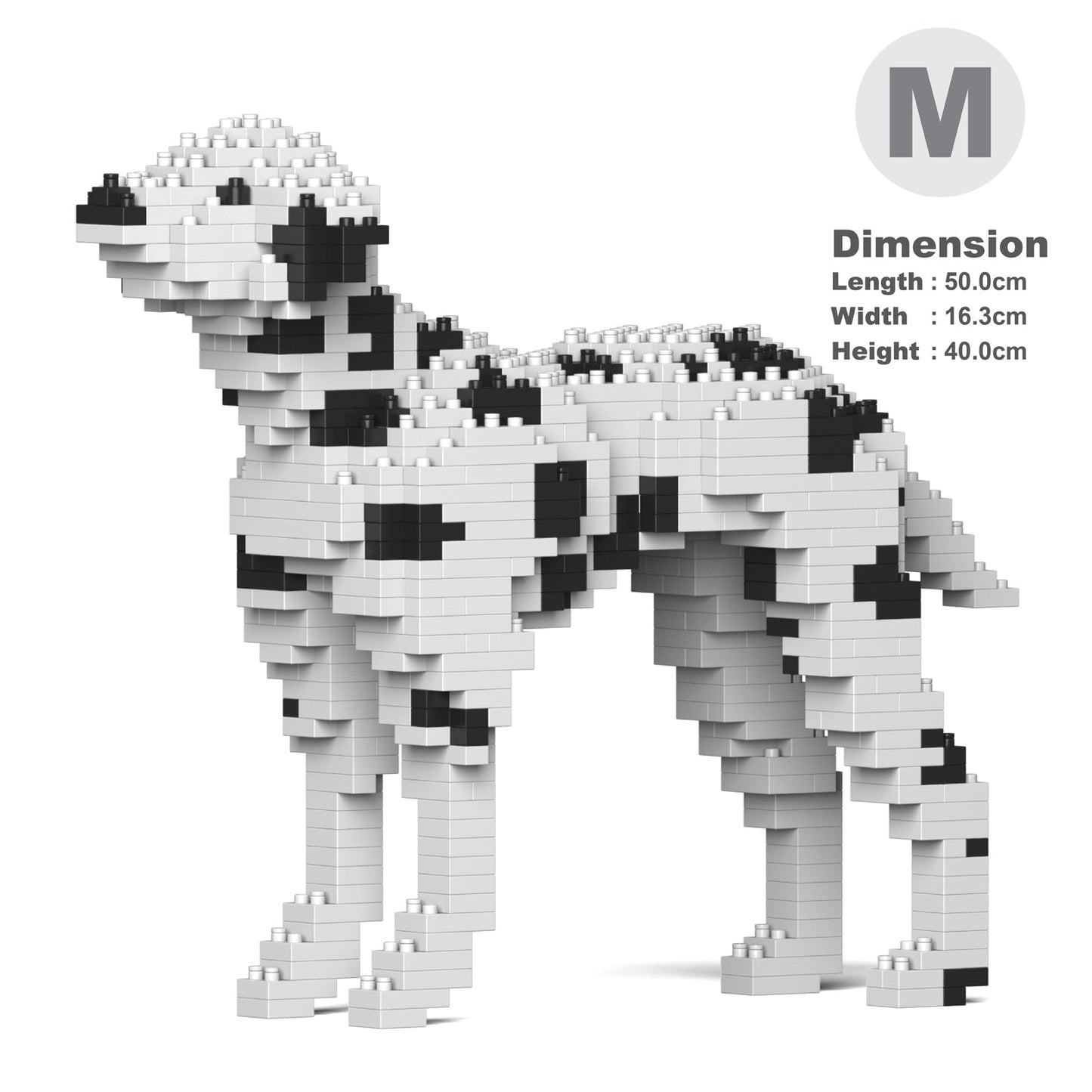 Dalmatian 01-M01