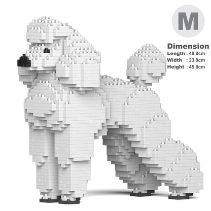 Standard Poodle 01-S01
