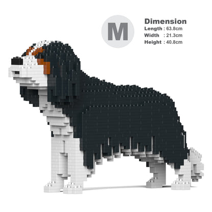 Cavalier King Charles Spaniel 01-M03