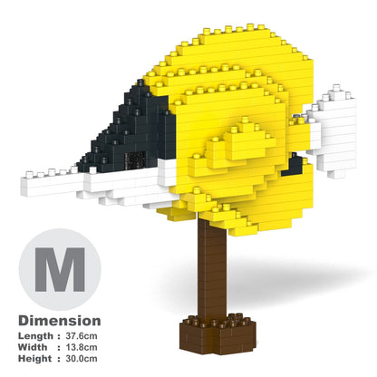 Forceps Butterflyfish 01