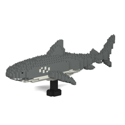 Tiger Shark 01