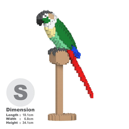 Green Cheek Conure 01S-M02