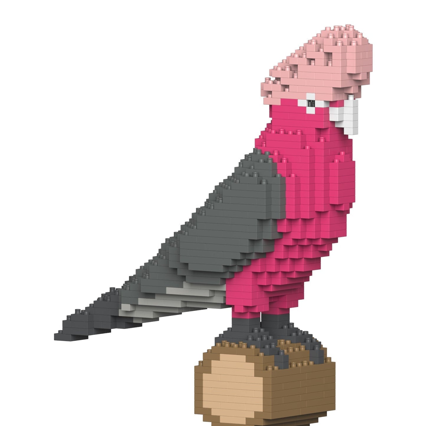 Galah 01S