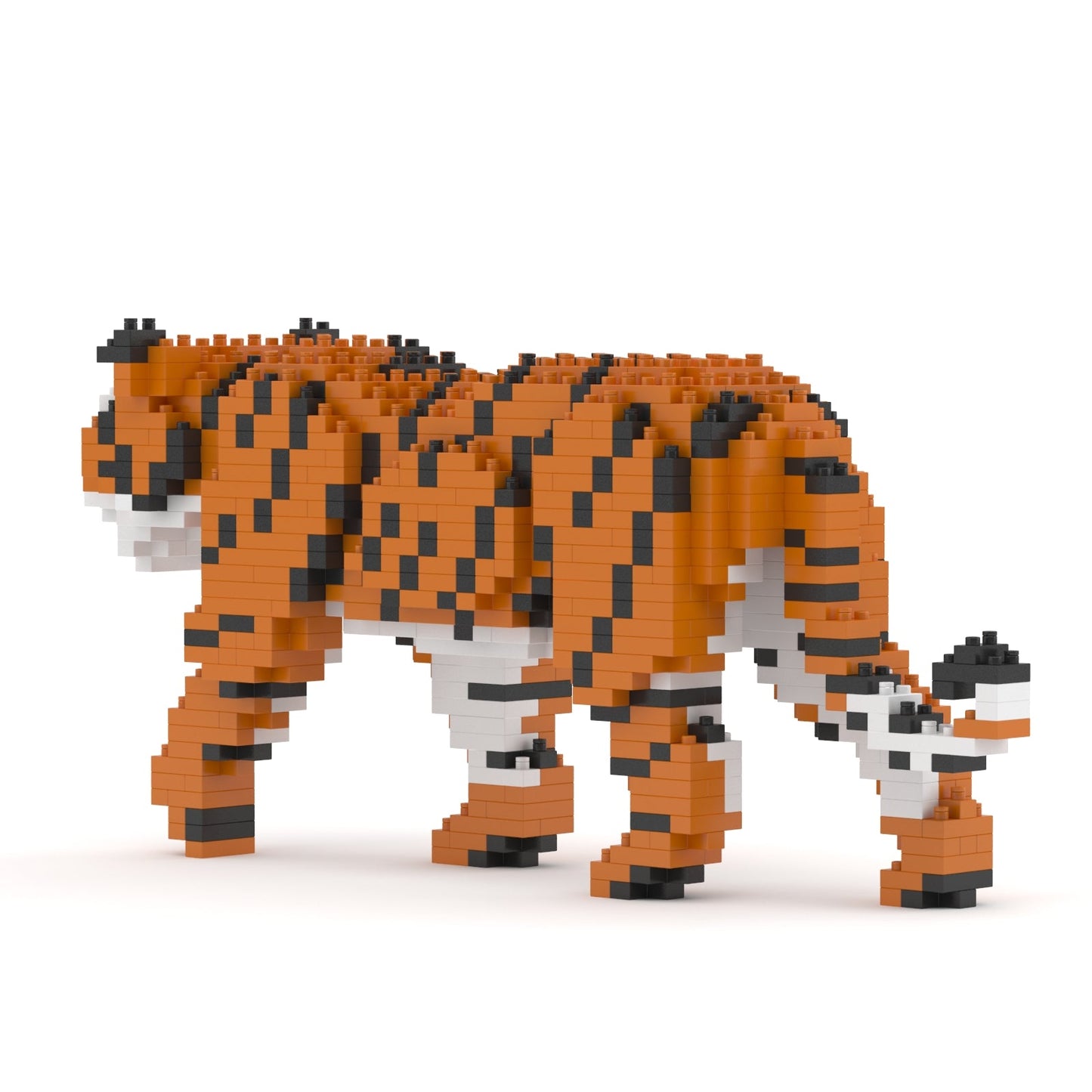 Tiger 01