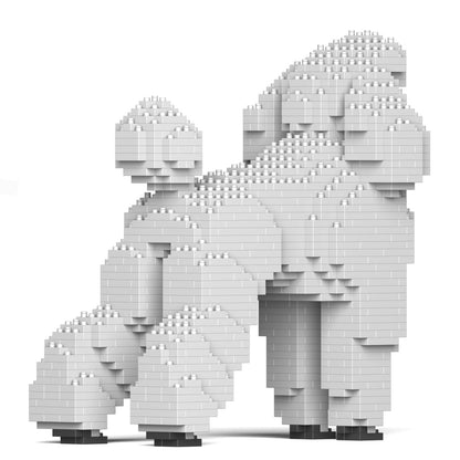 Standard Poodle 01-S01