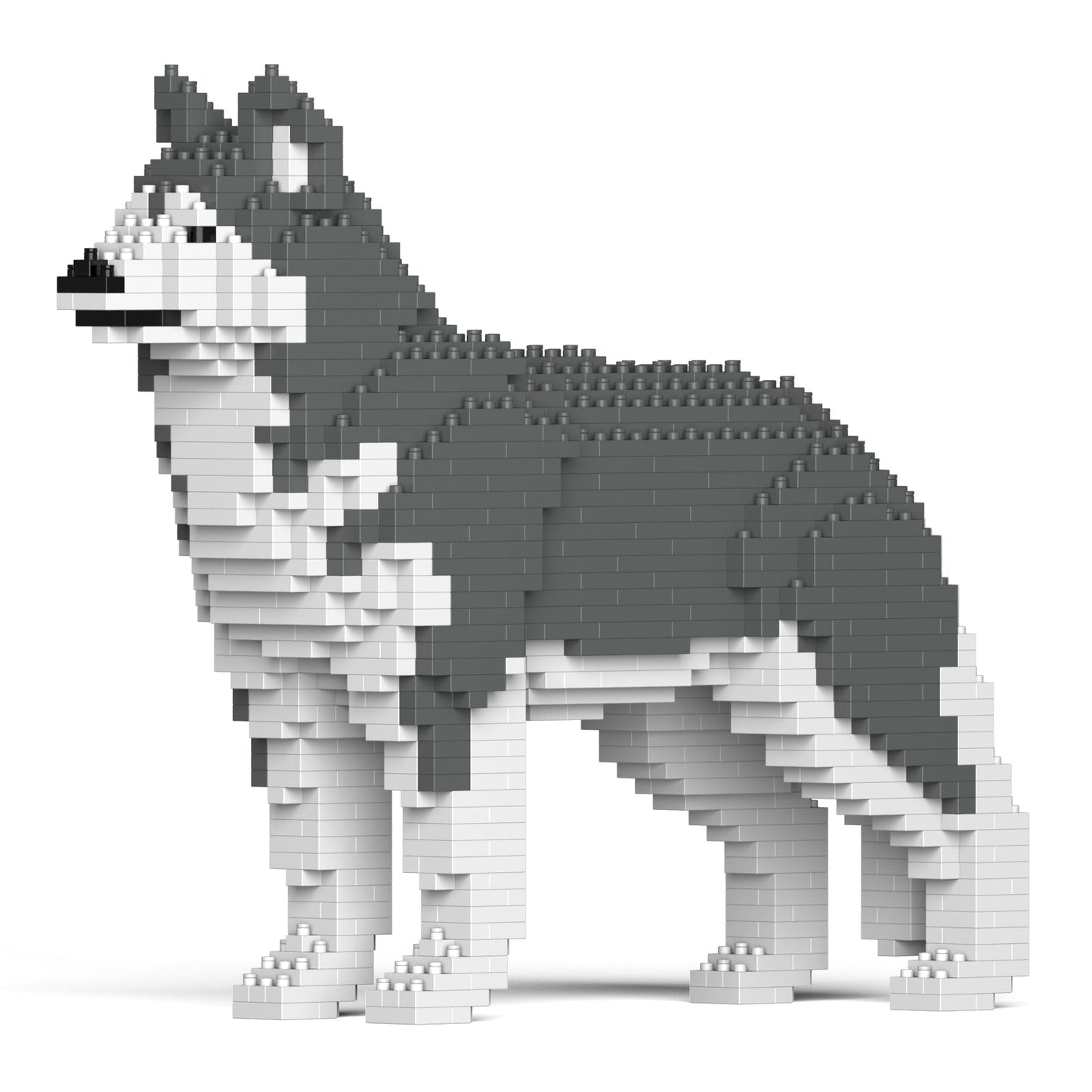 Husky 01-M04