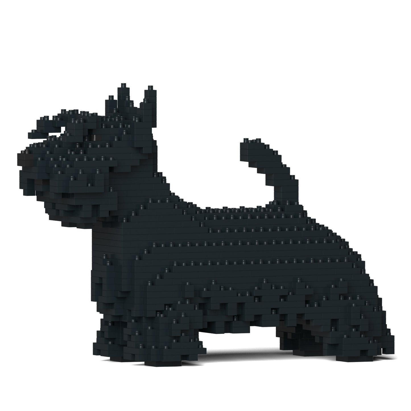 Scottish Terrier 01-M01