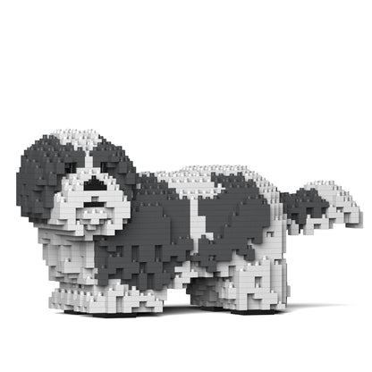 Shih Tzu 01-M05