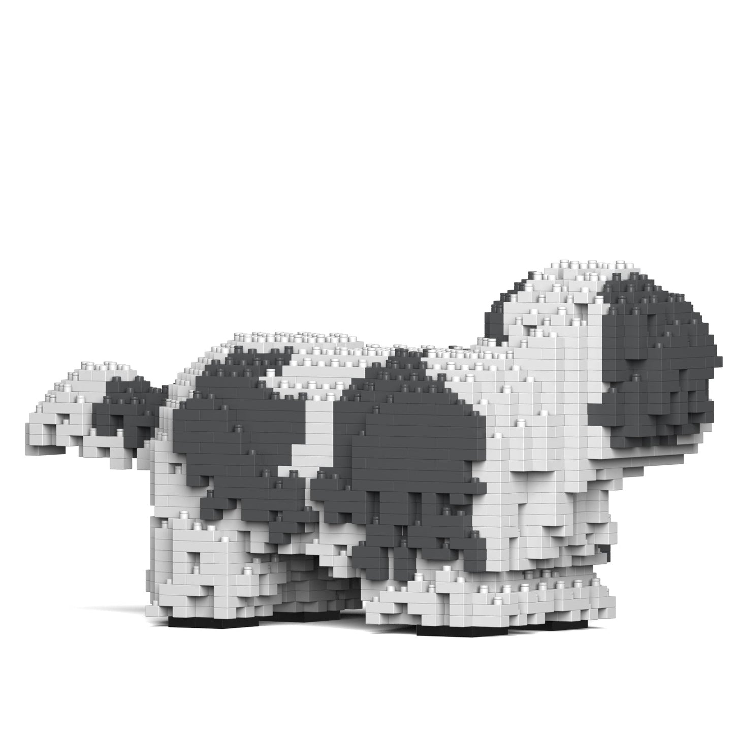 Shih Tzu 01-M05