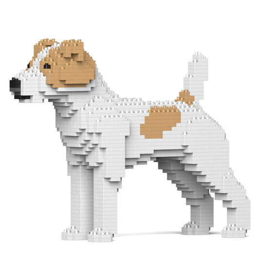 Jack Russell Terrier 01-M03