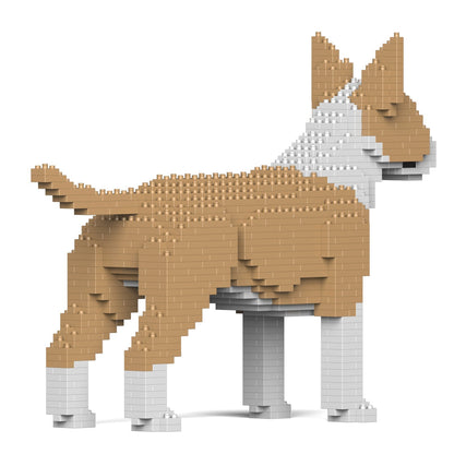 English Bull Terrier 01-M04