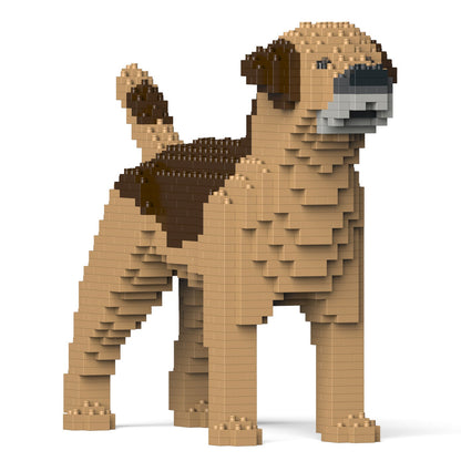 Border Terrier 01-M02