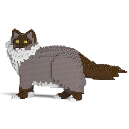 Ragdoll Cat 02S-M03