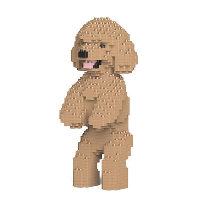 Toy Poodle 04-M03