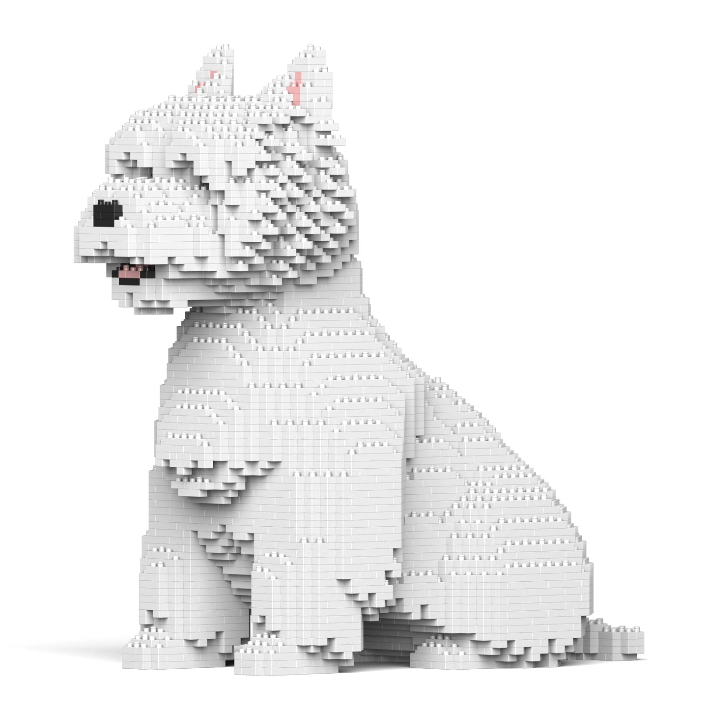 West Highland White Terrier 03